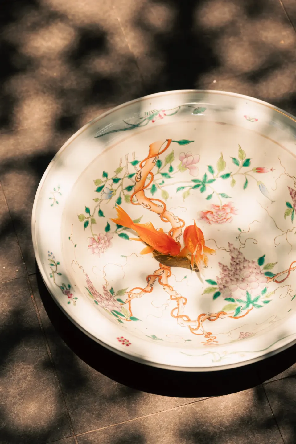 A porcelain dish painted with an orange fish among flowers, dappled in shadow.